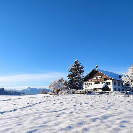 Bauernhofferien Oberduernberg Villa Seekirchen am Wallersee Ngoại thất bức ảnh