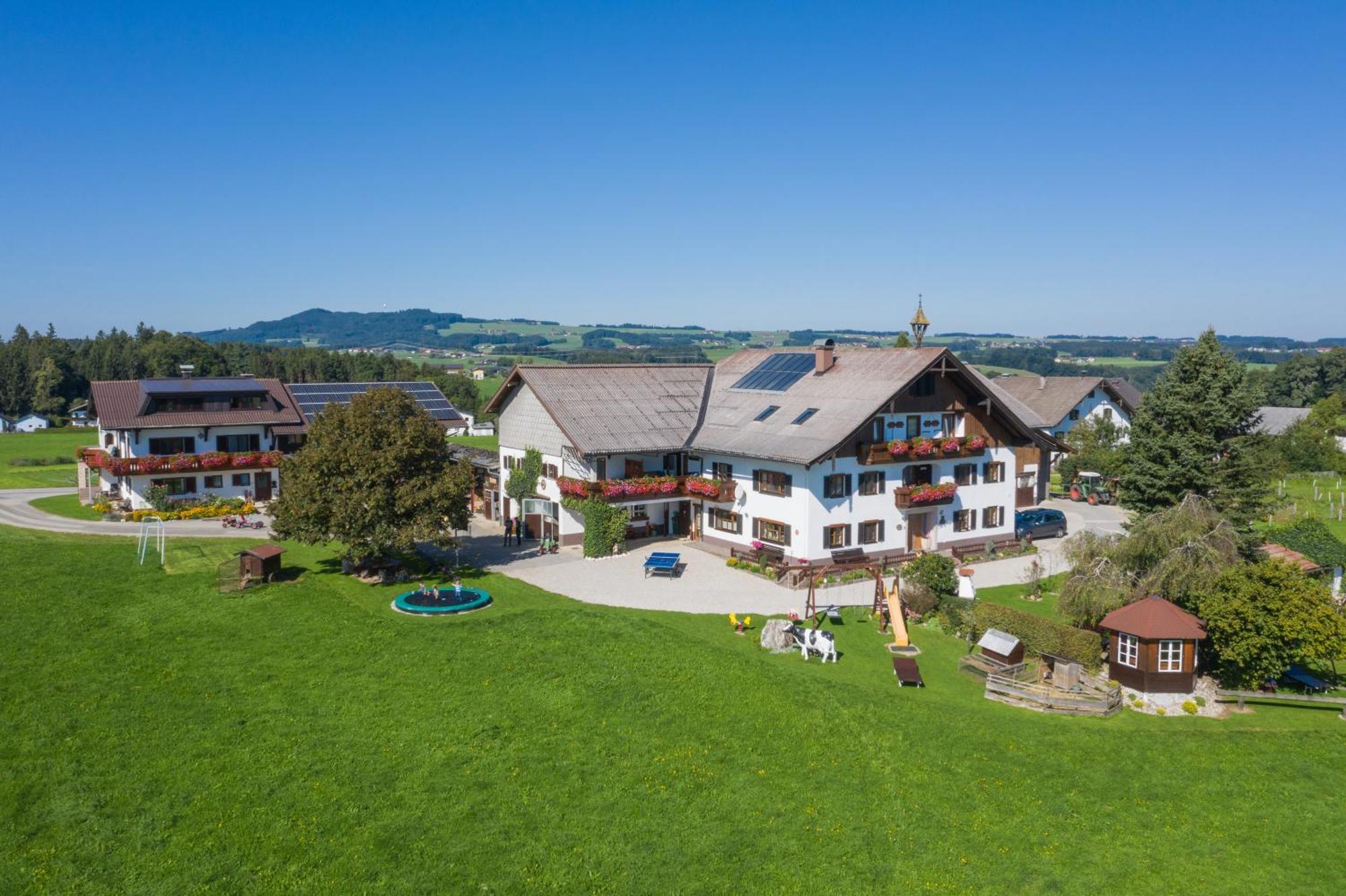 Bauernhofferien Oberduernberg Villa Seekirchen am Wallersee Ngoại thất bức ảnh