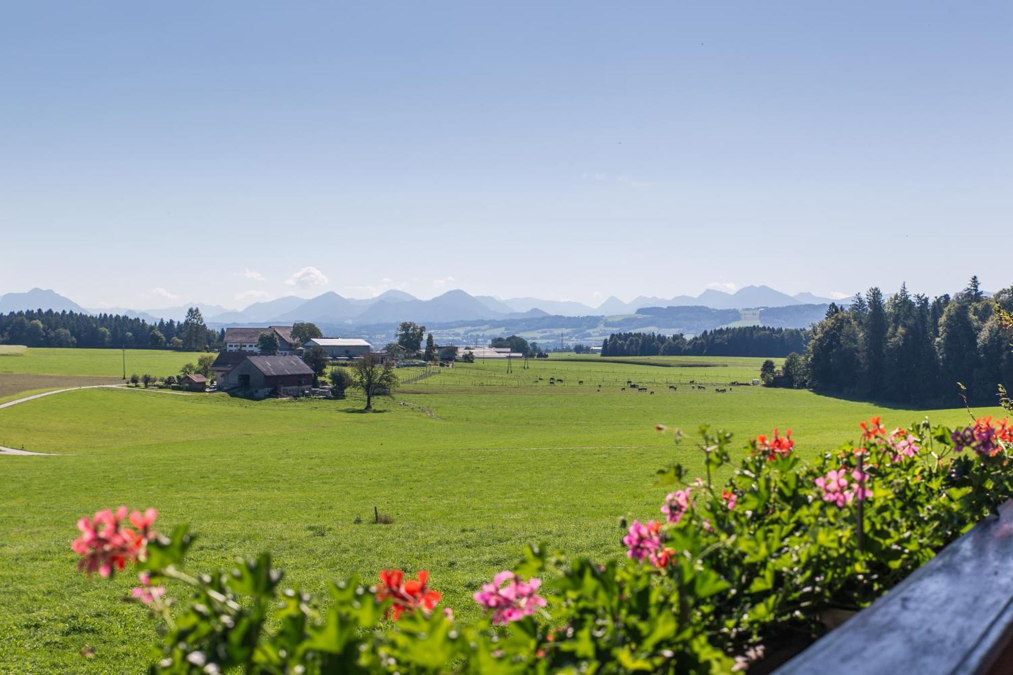 Bauernhofferien Oberduernberg Villa Seekirchen am Wallersee Phòng bức ảnh